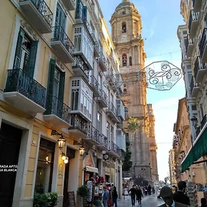 Luxury Catedral Appartamento
